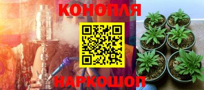 стаф Краснокаменск