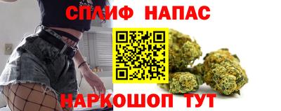 крисы Краснознаменск
