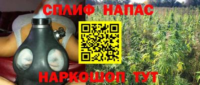 крисы Краснознаменск