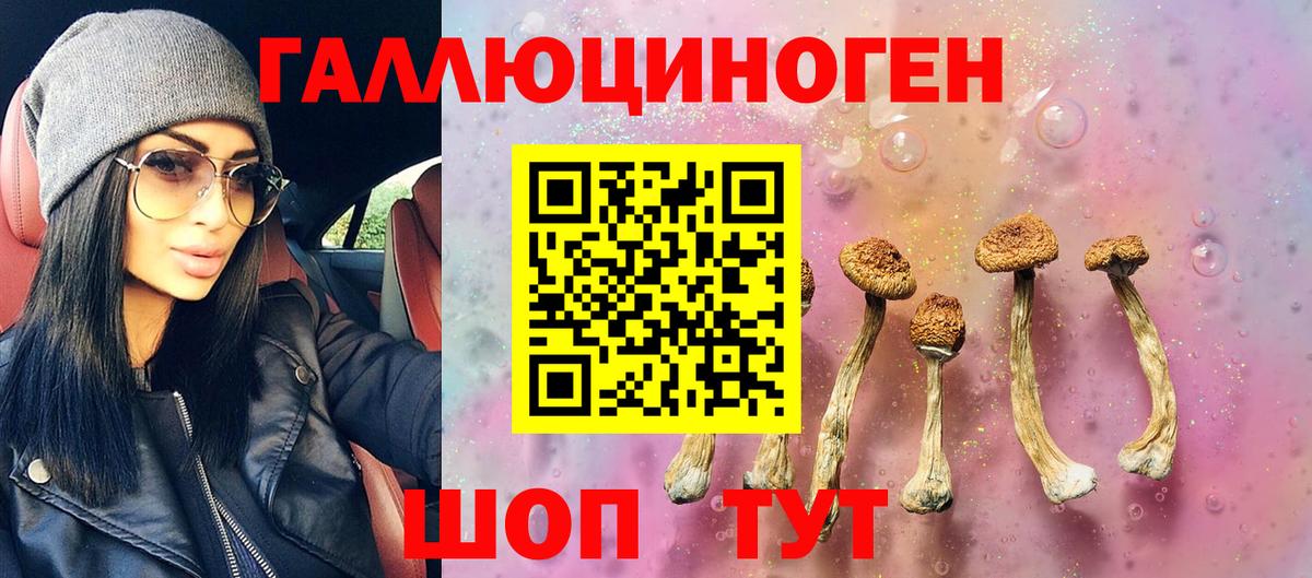 Галлюциногенные грибы ЛСД Туапсе