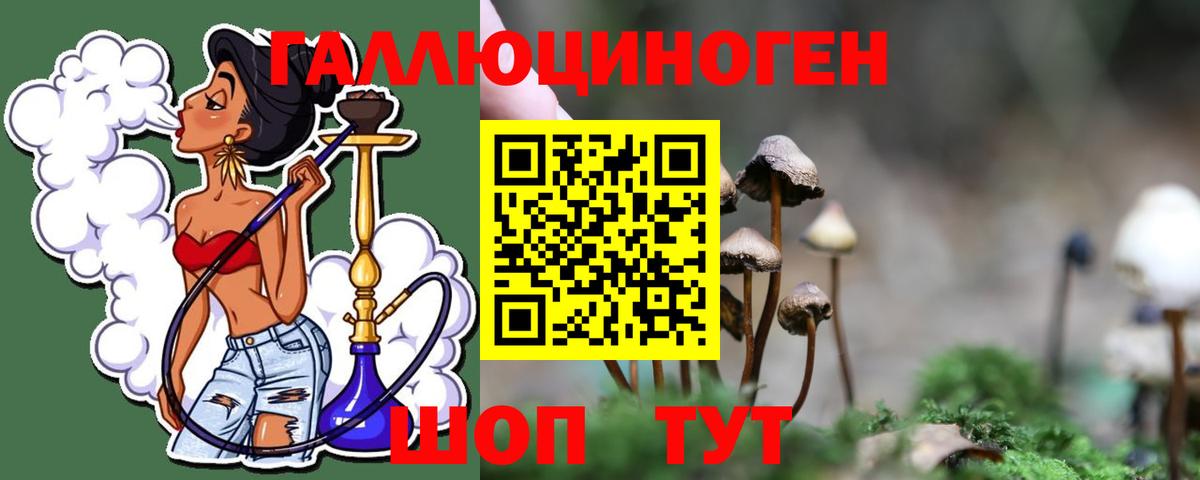 Галлюциногенные грибы Cubensis  Галлюциногенные грибы MAGIC MUSHROOMS  Туапсе  Вход с VPN 